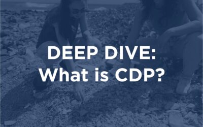 深潜水:CDP是什么?